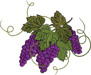 grape leaf clip art